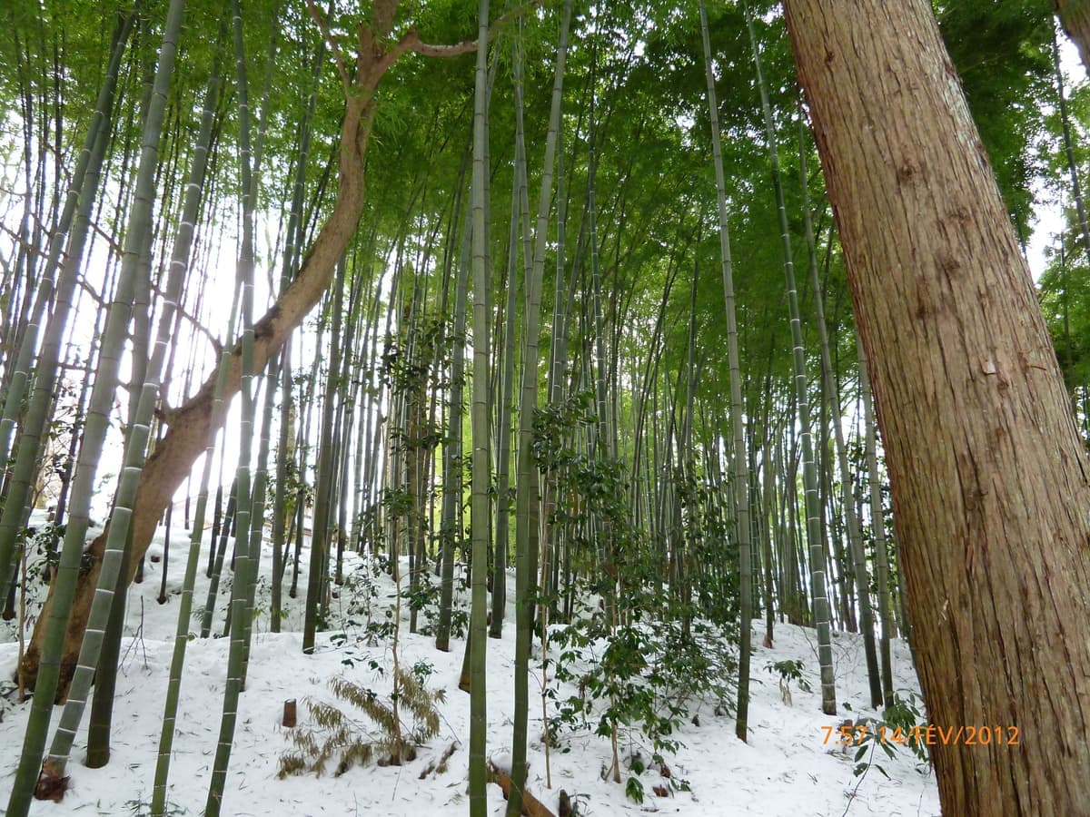 Hiraizumi town in Japan - Temples and shrines guide